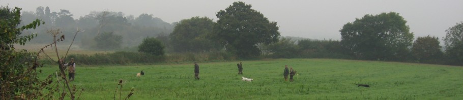 Jagers jagen op uitgezette Rode Patrijs en Fazant